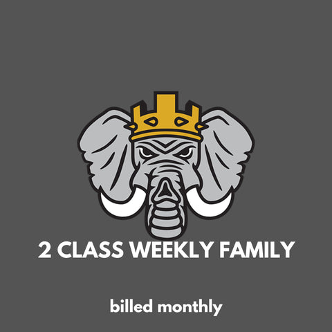 2 Classes Weekly | Family